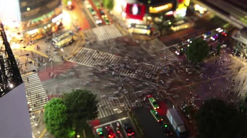 Shibuya Crossing In Tokyo Japan
