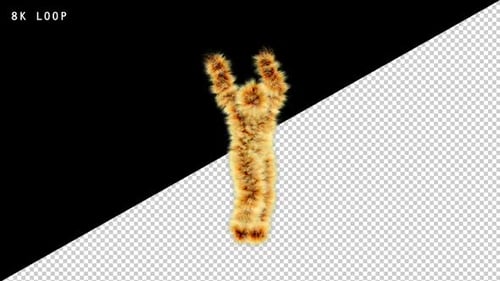 8K Party Animal Yeti Dance Loop