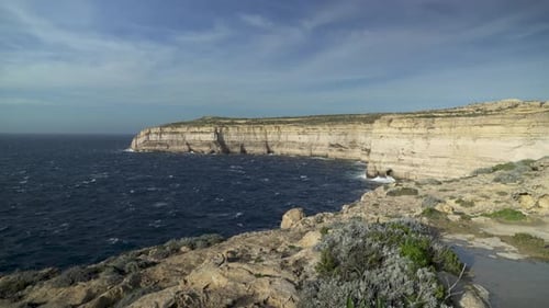 Greenery Growing on Cliffs near Mediterranean Sea in Island of Gozo in Malta in Winter