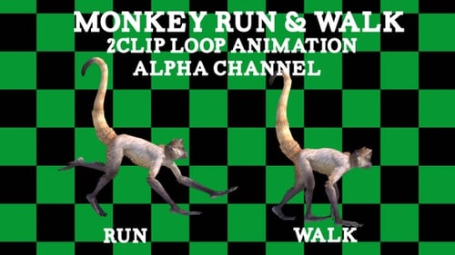 Monkey Run Walk Schlaufe mit 2