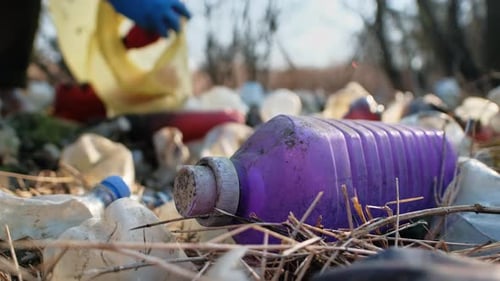 Hand Picking Up Trash in Nature Environment