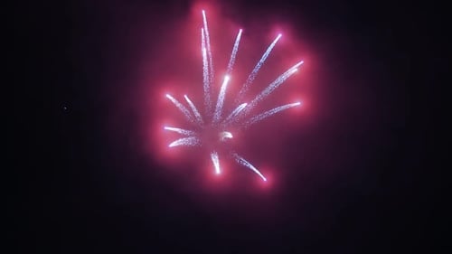 Vibrant Fireworks Bursting in the Night Sky