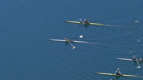 Athletes Competing in Rowing Race on Tranquil Lake, Water Sports, Slowmotion