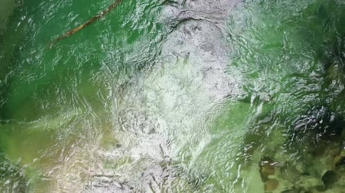 Top view of a waterbody with a clear water in a green coloration