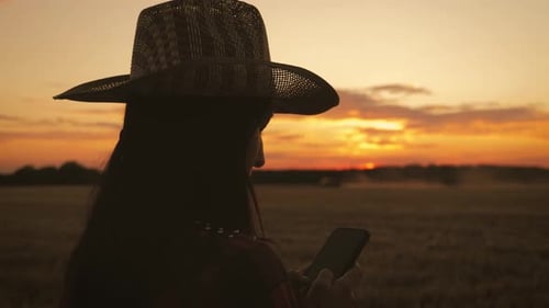 Farmer Using Smartphone in Field at Sunset