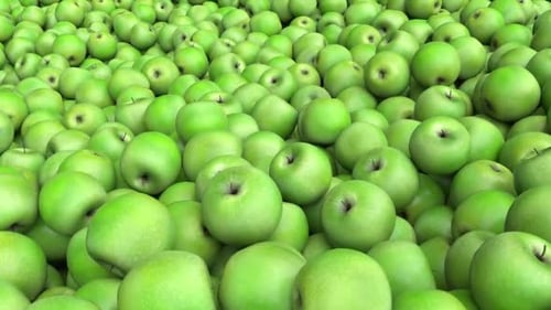 Flying Over The Green Apples Flying O
