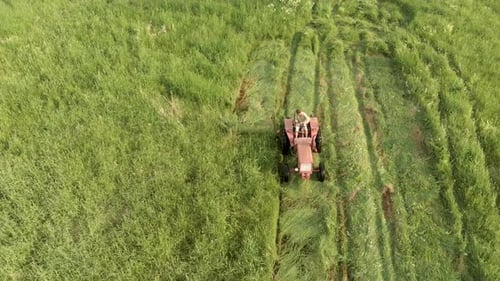 Vintage Tractor with a Mower in a Meadow Preparing Hay for Animal Feed. The Concept of Agribusiness