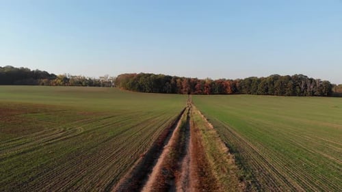Flug über Felder bei Sonnenuntergang.