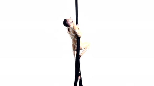 Man Dancer on Aerial Silk, Aerial Contortion, Aerial Ribbons, Aerial Fabric in Posing Exercise