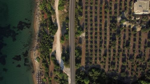 Aerial Shot of Sea Coast with Green Trees and Road Along Waterfront, Greece