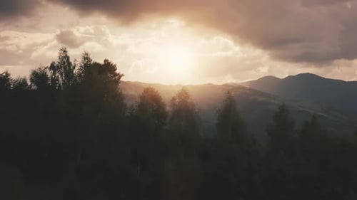 Aerial Drone View Flight Over Pine Tree Forest in Mountain at Sunset