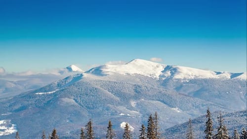 Beau paysage d'hiver avec des arbres couverts de neige. Montagnes d'hiver.