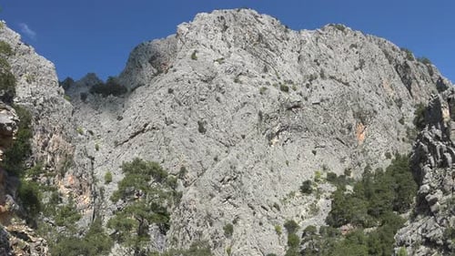 Felsige flache Bergmauer mit spärlichen Bäumen