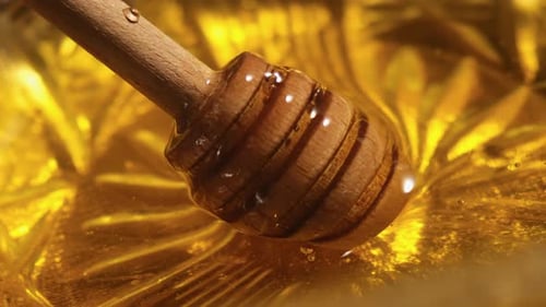 Close Up of Wooden Honey Dipper with Honey