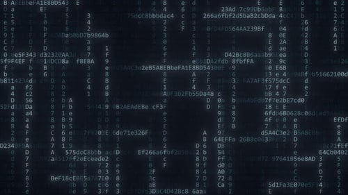 Les chaînes de code se croisent sur l'écran de l'ordinateur