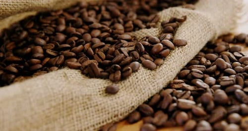 Roasted Coffee Beans Spill from Burlap Sack