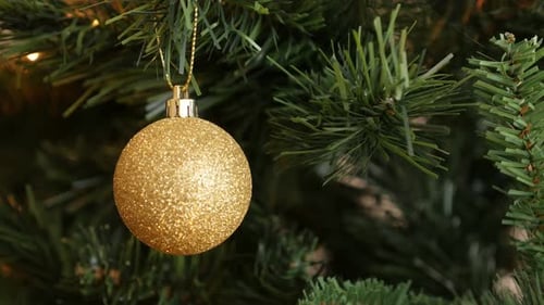 Glitering gold bauble hanged on the branch 4K 2160p 30fps UltraHD footage - Sparkling gold color or
