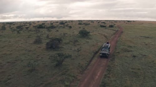 Woman sitting on top of vehicle while driving on wildlife safari holiday adventure in Kenya. Aerial