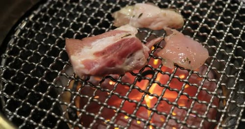 Carne a la parrilla sobre red metálica