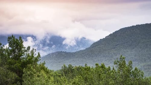 Mountains Covered in Green Trees on Cloudy Day