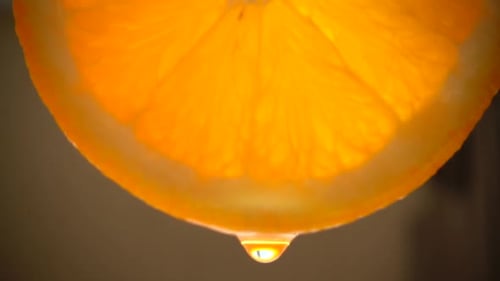 Juicy and Ripe Orange 4