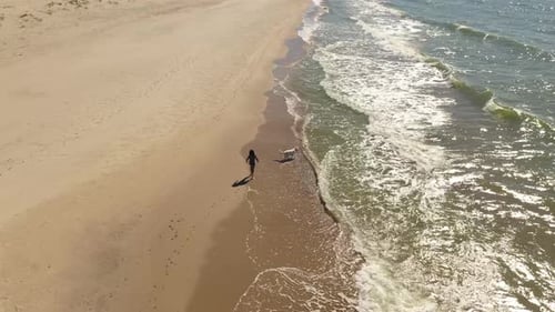 Young girl is running with her dog along the beach, view from drone
