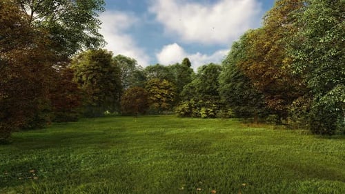 Grünes Grasfeld HD