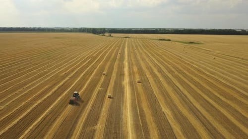 Luftaufnahme: Traktor zur Herstellung von Heuballen in einem Weizenfeld. Landwirtschaftlicher Bereich