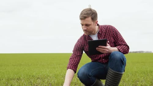 Farmer Inspecting Crops with Tablet in Field