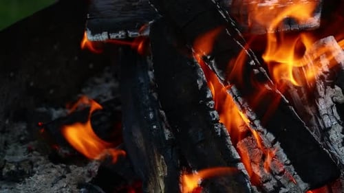 Intense Flames Consuming Charred Wood Close Up