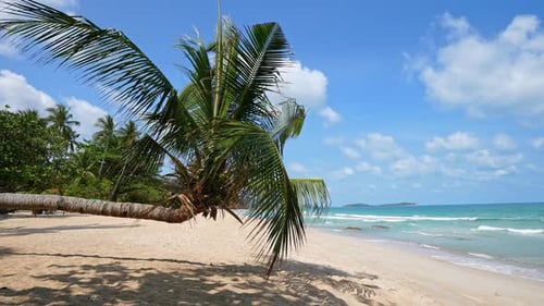 Beautiful tropical beach sea ocean with blue sky and white cloud