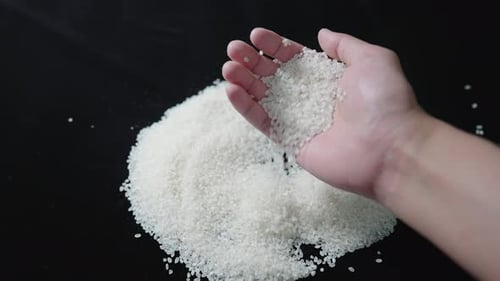 Hand Sifting White Rice Grains on Black Background