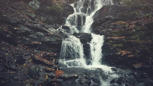 Rocky Mountain Stream Surface Autumn Wood Sight
