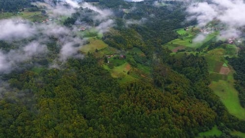 Flying Above Clouds And Forest