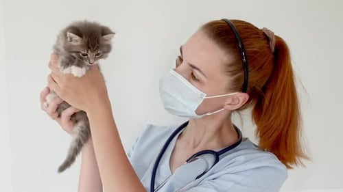 Woman Doctor Holding Kitten Wearing a Face Mask
