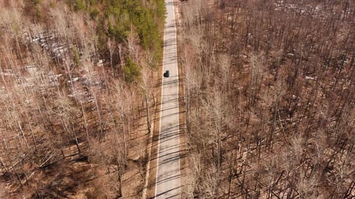 Spring Forest Road