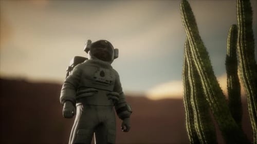 Astronauth in the High Desert of Nevada