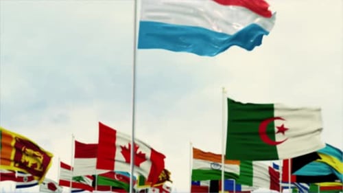 Waving National Flags of Various Countries with Focus Reveal