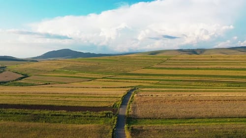 Winding Road Through Agricultural Landscape