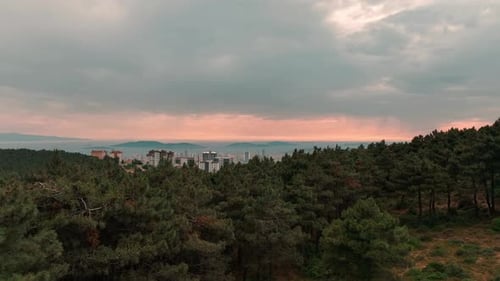 Blick auf die Stadt in Bäumen