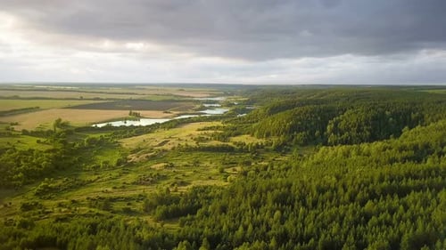 Forest Hill And Lake