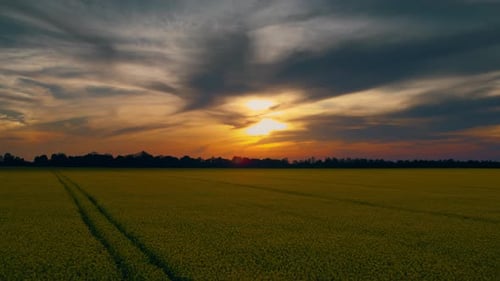 Goldener Sonnenuntergang Wolkenhimmel im Rapsfeld