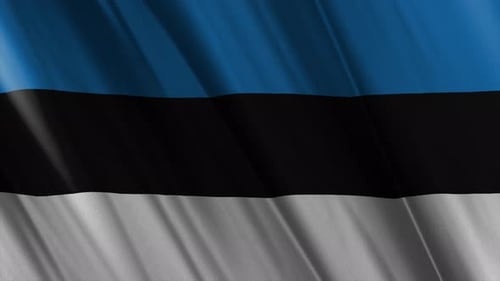 Estonia National Flag Waving Seamless Loop Background Animation