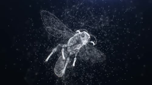 4K Plexus Bee