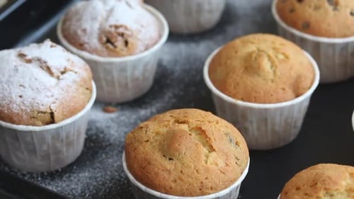 Frisch gebackene Muffins, bestreut mit Puderzucker.