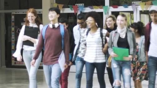 College students walking together in campus