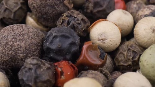 Colorful Mixed Peppercorns Close-Up View