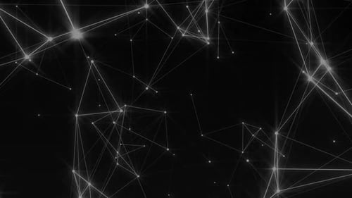 Black White Plexus Background Loop