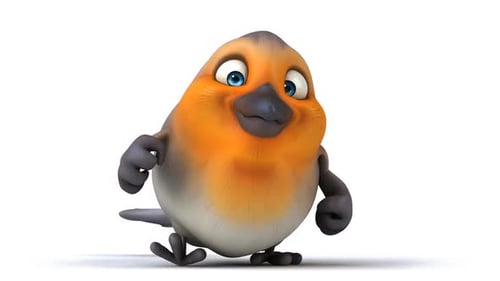 divertido pájaro de dibujos animados