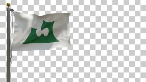 Realistic Waving Flag with Green Abstract Symbol